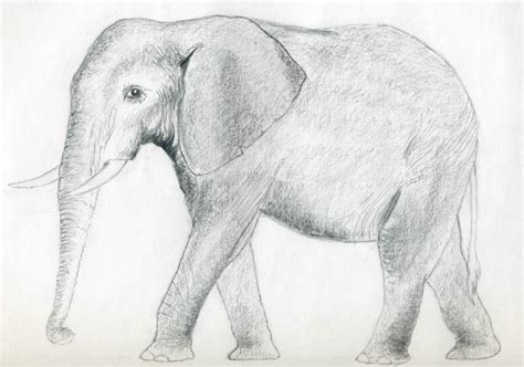Что нарисовать, когда скучно для девочек? 🖌 Рисунки карандашом поэтапно