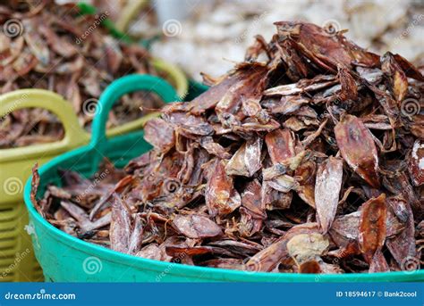 Dry squid stock image. Image of appetizer, prepared, eating - 18594617