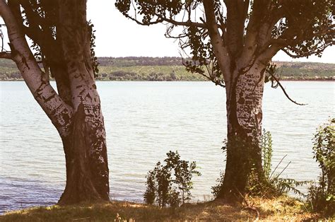 Moldova: summer at the lake / Galleries / Media - Osservatorio Balcani ...