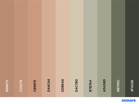 create  color palette  illustrator