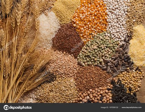 cereal grains seeds beans stock photo  aboikis