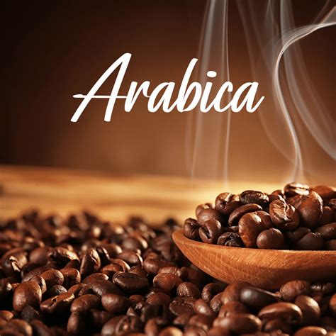 arabica coffee beans top products guides