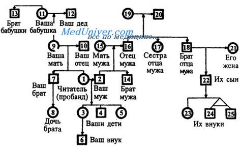 Генеалогический метод исследования. Генеалогический анализ. История ...