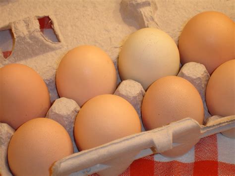 Healthy Breakfast Ideas for Families on the Go: Eggs