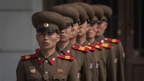 king  pyongyang bbc news