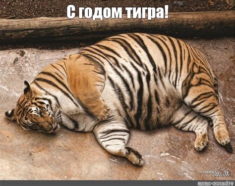 Meme: "С годом тигра!" - All Templates - Meme-arsenal.com