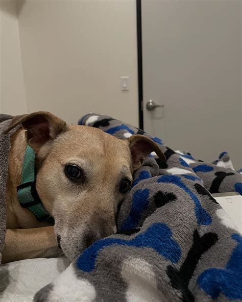 Tristan Taormino (@tristantaormino) • Instagram photos and videos