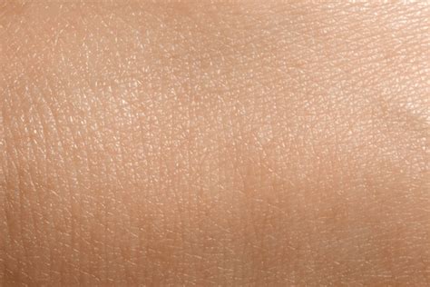 corps humain couleurs royalty    stock images