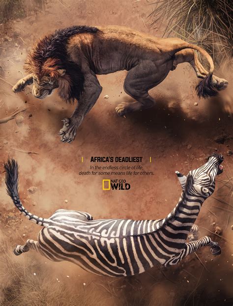 Nat Geo Wild - Circle Of Life :: Behance