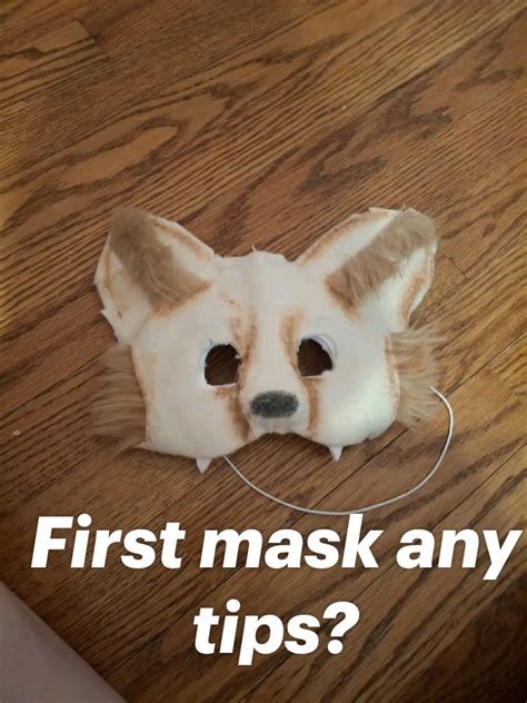 my first mask in 2025 | Mask, Fennec fox, Fox