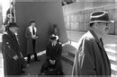 Фотография Стручки Джакаранды, автор Игорь Седловский