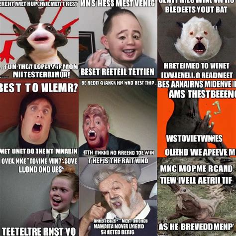 Beste Dierenmemes Ooit