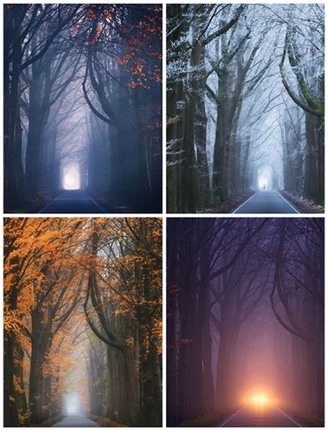 ФОТО: Хавар, зун, намар, өвөл, хавар...