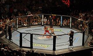 list  ufc  wikipedia