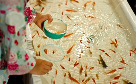 aquarium