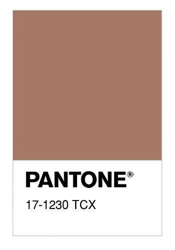 colore pantone   tcx mocha mousse numerosamenteit