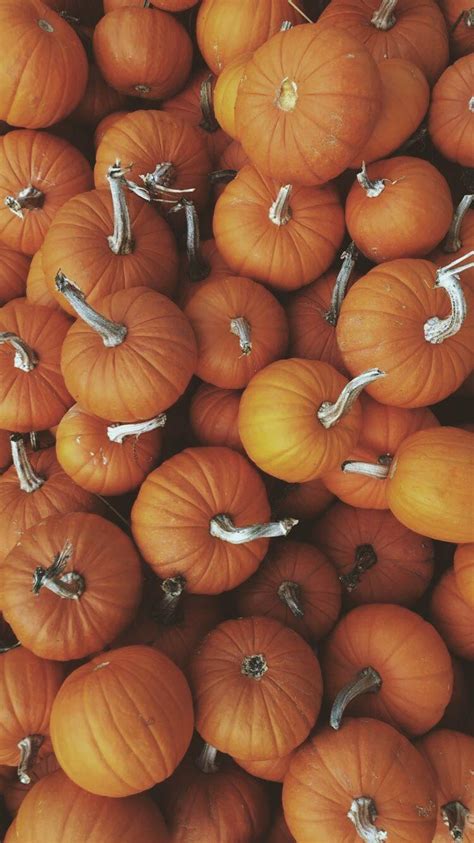 15 Top thanksgiving wallpaper aesthetic cute You Can Get It Without A ...