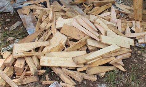 sejarah singkat sagu adiguna karya persada