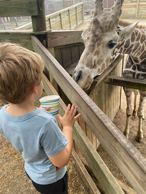 richmond zoo animal encounters