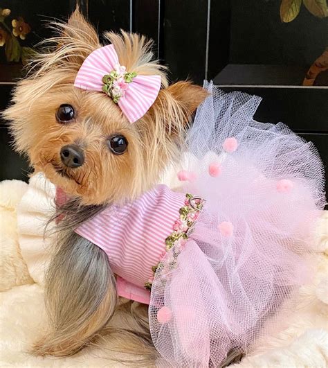flower patch dog dress pink tulle pet gown  bows etsy pink dog