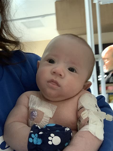 Ivf and preimplantation embryo testing - Gift of Parenthood