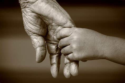 Young and Old Holding Hands Stock Image - Image of generations, fingers ...