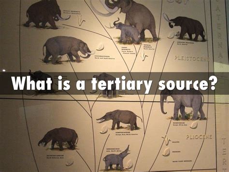 primary secondary  tertiary  jamie scatenato