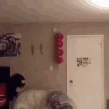 Lilmochidoll Og Tiktok GIF - Lilmochidoll Og Tiktok Orange Shirt Kid ...