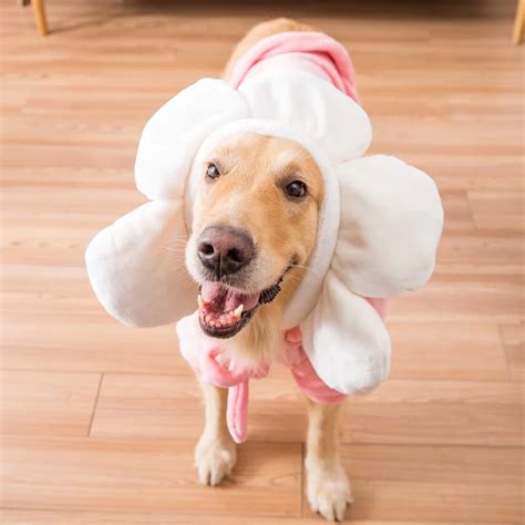 Hipidog Подсолнух Милая одежда для больших собак фланелевая Флисовая ...