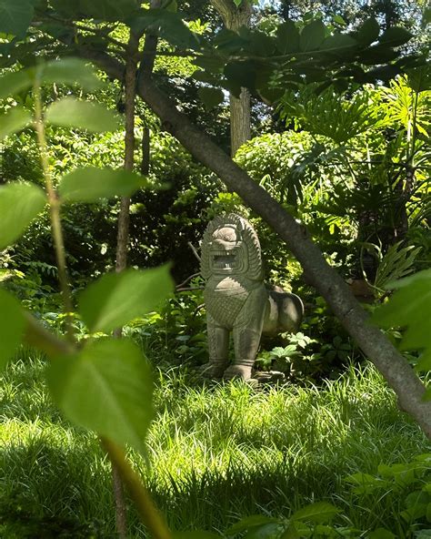 Emmy Bre 💗 | 🌼 June photo drop 🌿 June has been absolutely WILD so far