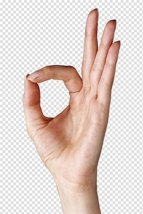 hand gesture hand showing  human hand signing  transparent
