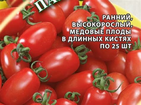 Новые сорта томатов на 2024 год: описания с фото - Orchardo.ru ...