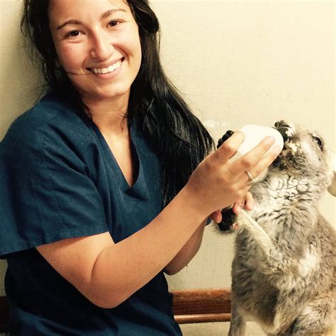 Caring for an exotic... - VCA All Pets Animal Hospital