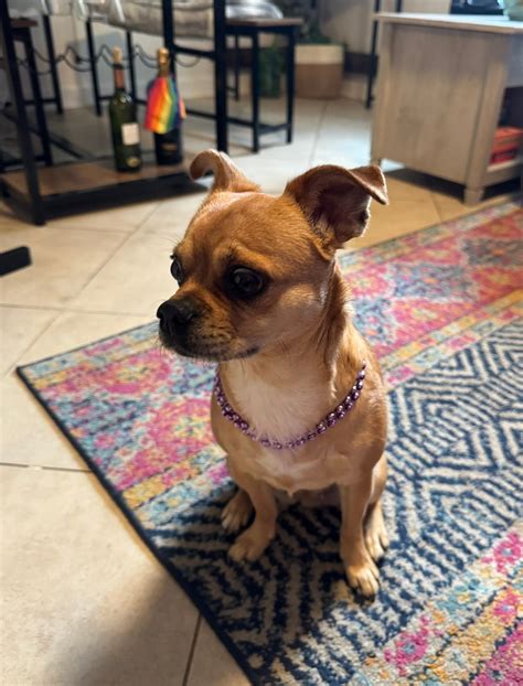 North Columbia Heights | Washington D.C. DC