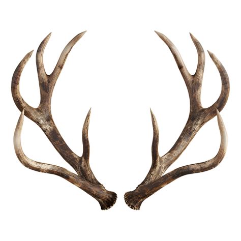 deer horns for cars 4