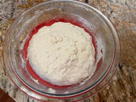 how to make a sour dough starter