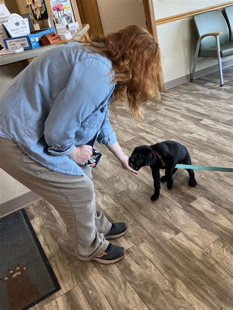 Muscatine Veterinary Hospital P.C. | Muscatine IA