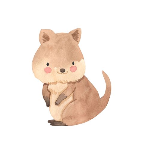 Premium Vector | Quokka watercolor illustration for kids
