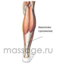 Травмы ахиллова сухожилия | Массаж.ру
