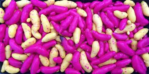 Ulluco Varieties - Cultivariable