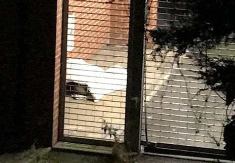 Woman Films Homeless Lambrini Swigging Couple Having Sex On Her Front Drive