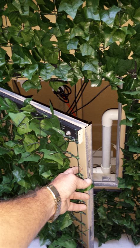 Artificial Ivy Walls - Silk Trees and Plants