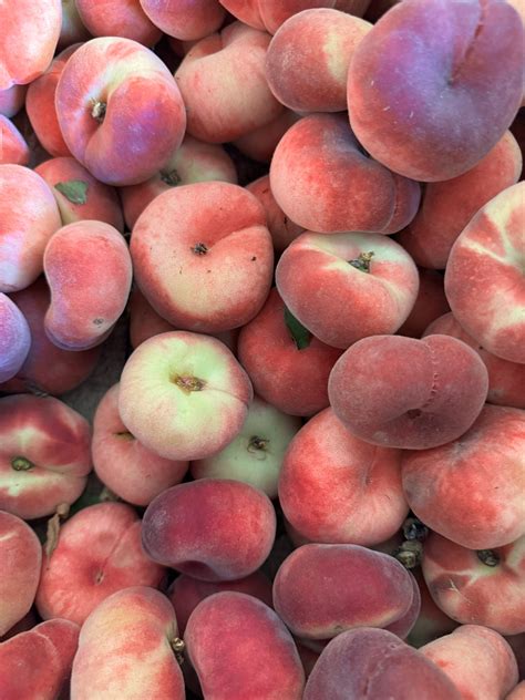 Ole' Thyme Farm LLC | Wayland NY