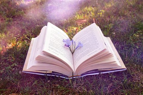 Новая книга! - Chess.com