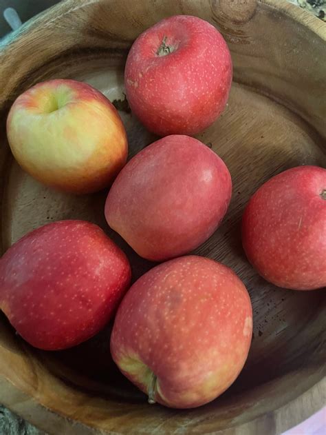 Dehydrating Apples in the Air Fryer | A Healthier Me...Homesteading