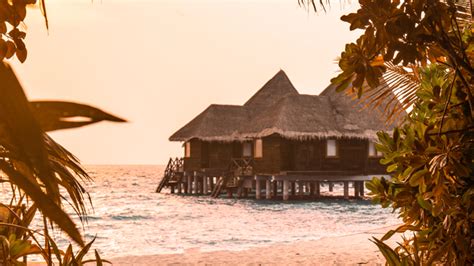 coco story trailblazers  design architecture coco collection