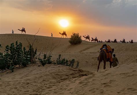 Camel Safaris and More: The Wonders of India’s Thar Desert