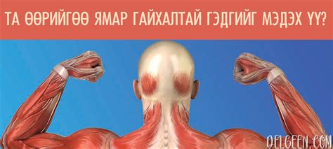 Таны бие махбодийн талаарх сонирхолтой 15 баримт. Эдгээрийг заавал ...