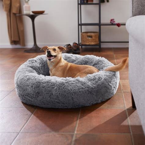 Dog Beds - Free shipping | Chewy