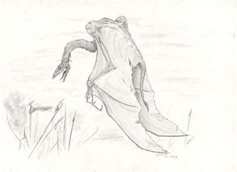 Fell Beast Concept Sketch by MethodforMadness on DeviantArt